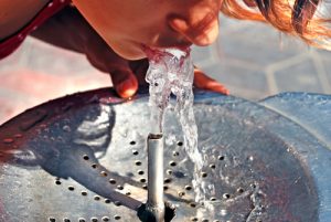 Read more about the article Over 11,000 Schools Have Not Tested Water Around California