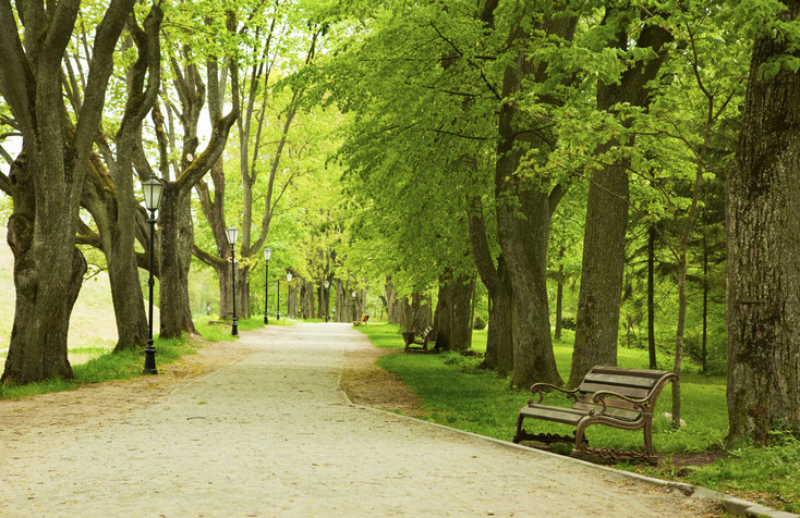 You are currently viewing A New Urban Trail Coming to Sacramento